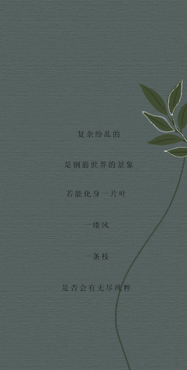 640_1263 竖版 竖屏