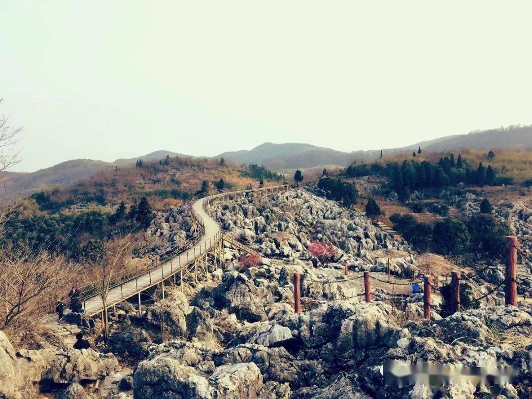 南陵东七人口_南陵别儿童入京图片(3)