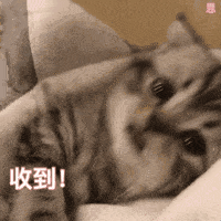 女生|为什么现在的女生，越长大越丑？