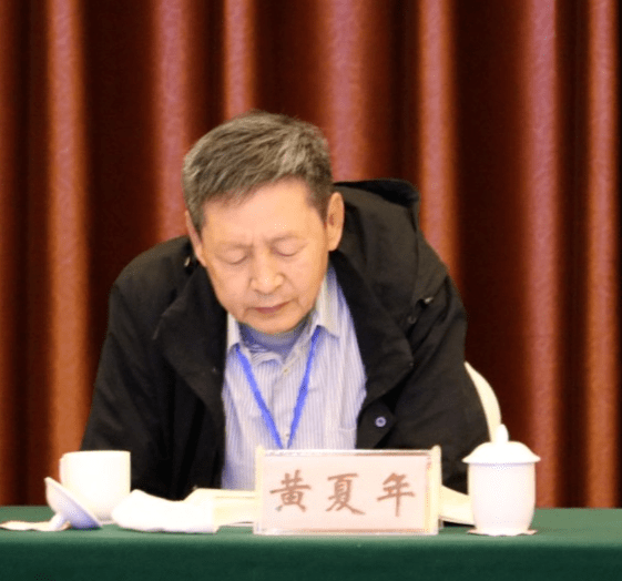 2020年少林学学术研讨会分论坛有序举办