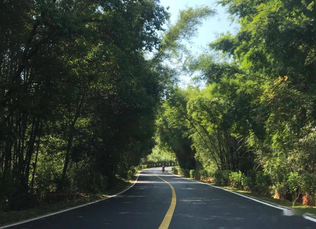 景随路移 阅丹公路再添风采
