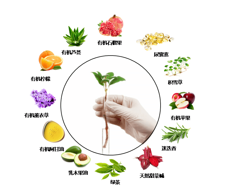 宝藏|头发一把把掉？这个土耳其宝藏固发神器，竟然一步搞定防脱、控油、去屑！