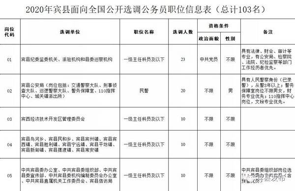 宾县人口_国家人口计生委“三下乡”到宾县