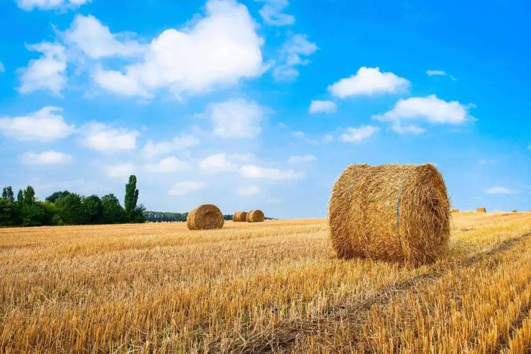 泰林生物业绩依赖财政补贴 客户太过分散不可控