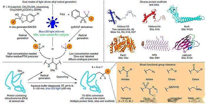 自由基是氧化产生的吗 899aaf95811d4073bfa6fa47a105b520.jpeg