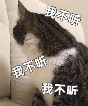 中小学|2021东莞中小学、普通高中学生寒假时间出炉！