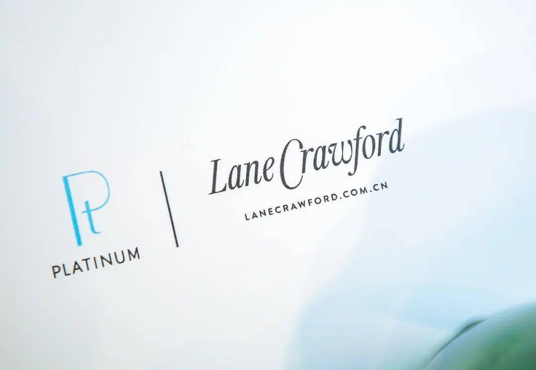 吉娜|第13届金鹰节开幕，《以家人之名》重聚合唱，吉娜官宣怀孕...