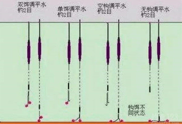 钓甲鱼用直针钓是什么原理_甲鱼鞭是什么样子的(3)