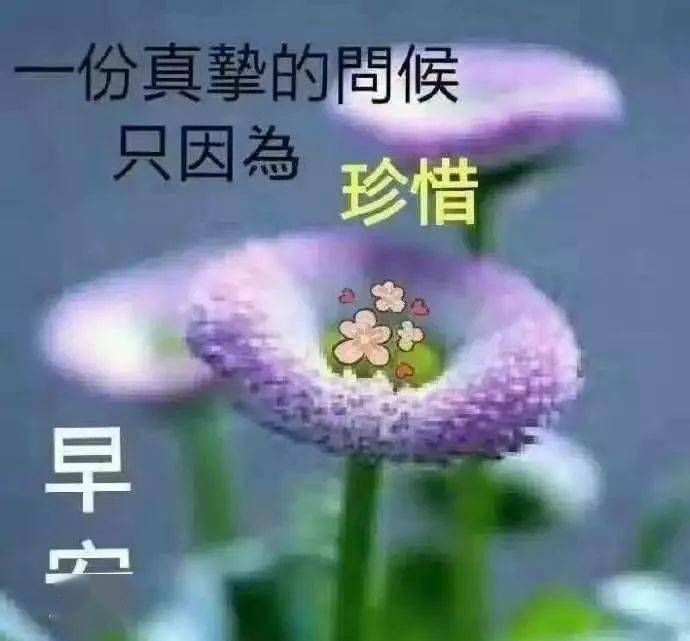 好朋友早上好祝福表情,有一种幸福,叫有人惦记!