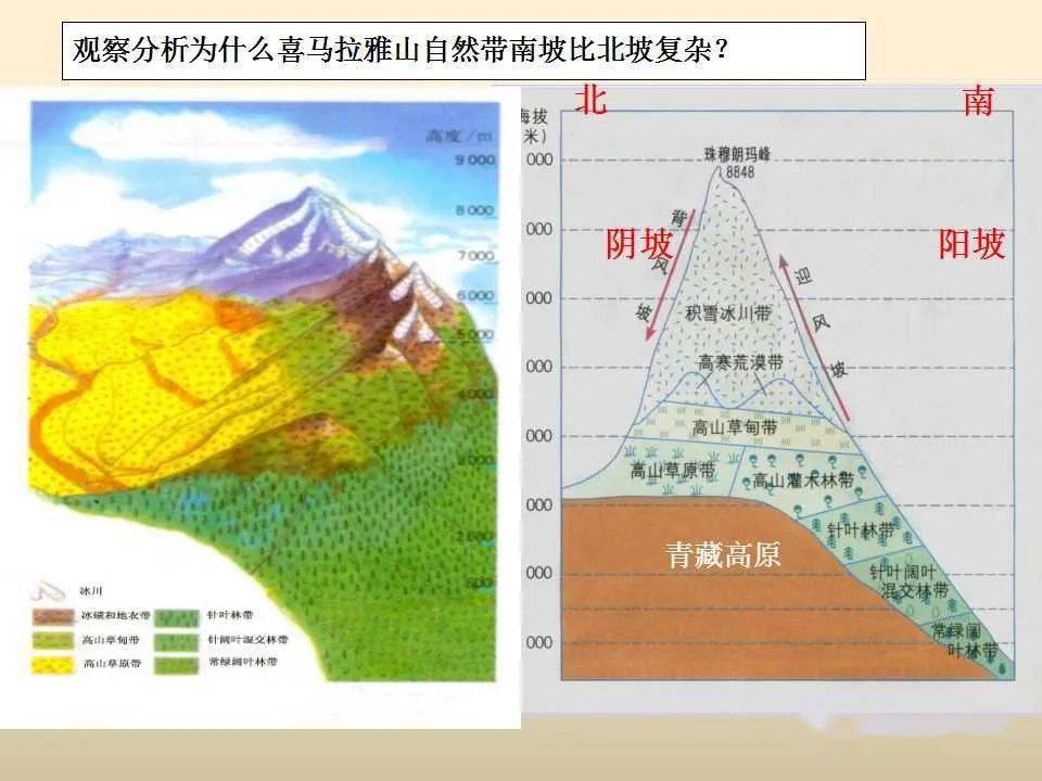 2019俄罗斯人口形势_俄罗斯人口分布图(3)