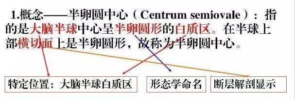 解剖| 解惑 | 放射冠与半卵圆中心的区别