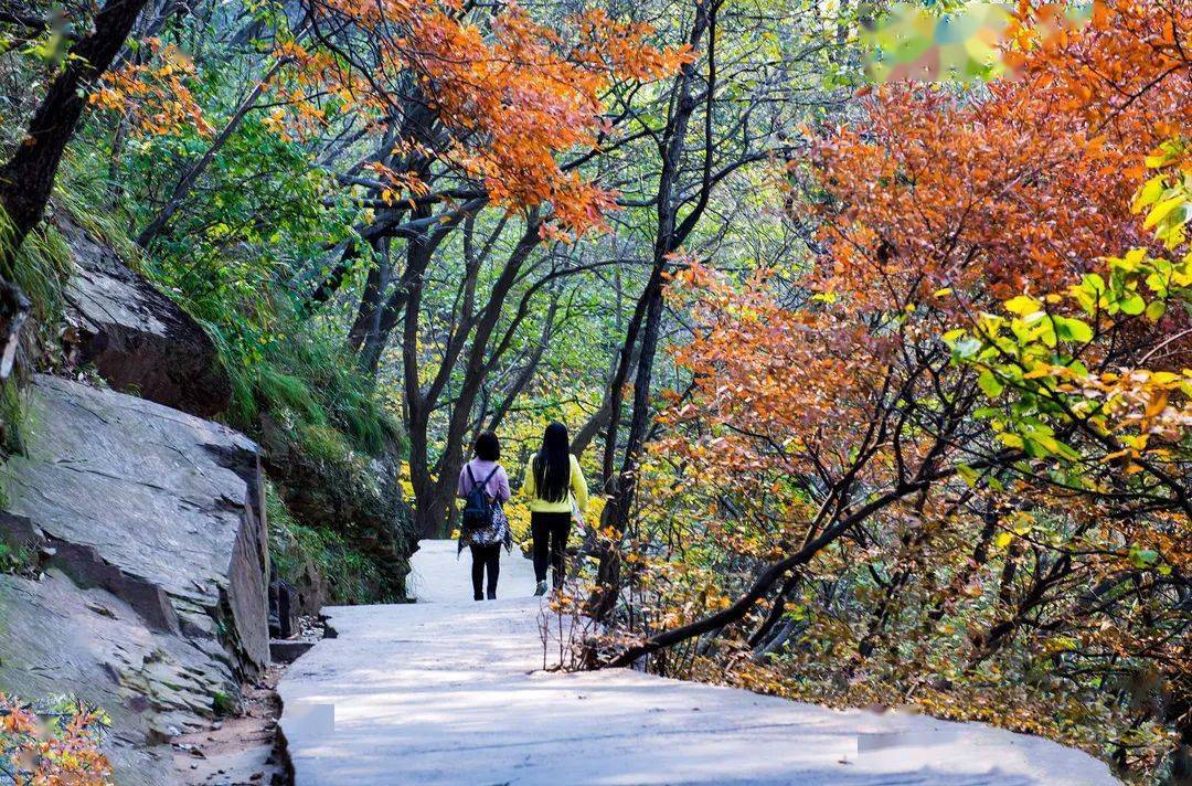 汝州2020gdp_2020年中国gdp变化图