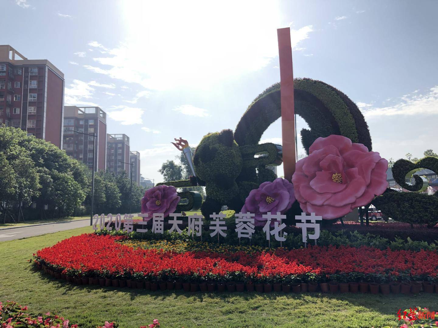 成都天府芙蓉花节开幕