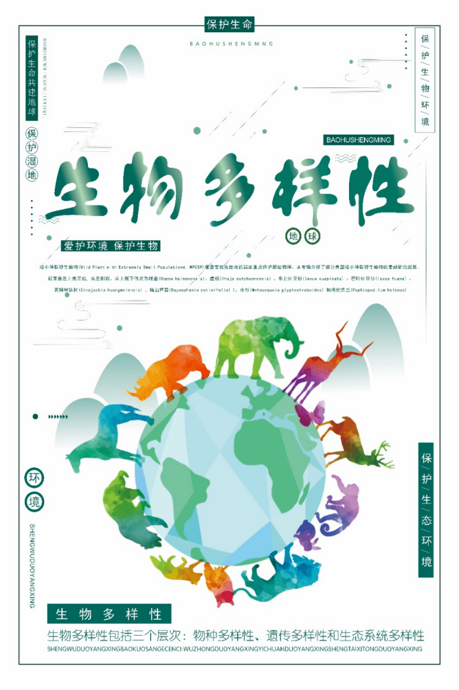 活动| 昆明市2020年"生物多样性保护"海报大赛作品赏析⑨
