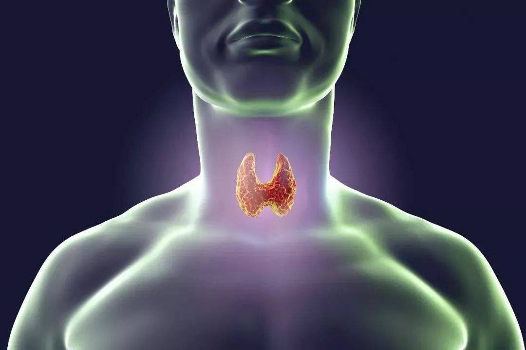 什么是甲状腺囊肿结节 d099406527de4a74a6dd1fb1c270226f.jpeg