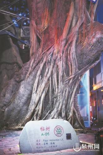 巷头|能文能武番仔巷 巷头巷尾掌故多