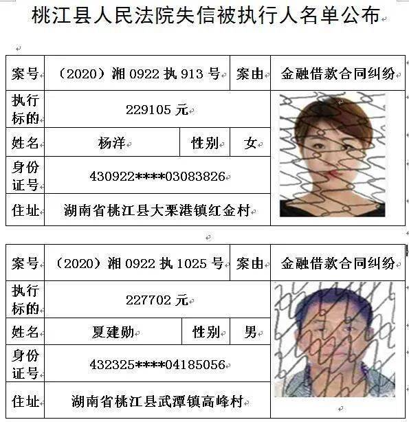 桃江人口排名_桃江竹海图片(2)