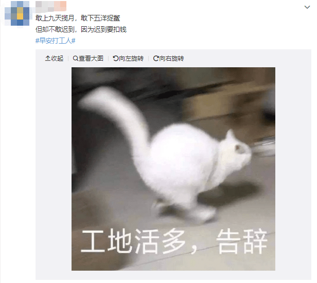 把还没发生的生活真相,向你无情揭露,诙谐又让人清醒