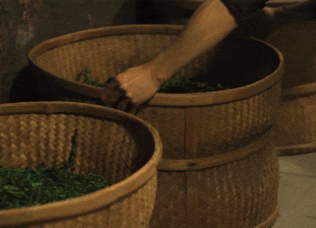 建议|一次性把茶王岩茶讲清楚！(建议收藏)