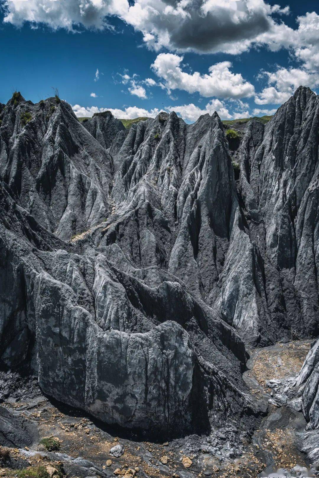 丈量旷野，收藏风光，与尼康Z 50同探圣地神山_手机搜狐网