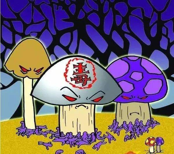 隔壁宣恩已有多人中毒!2人死亡!