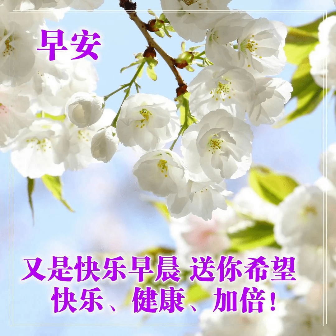 最美霜降早上好问候语阳光句子,早上好祝福语带图