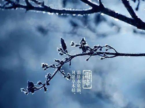 【今日霜降节气】