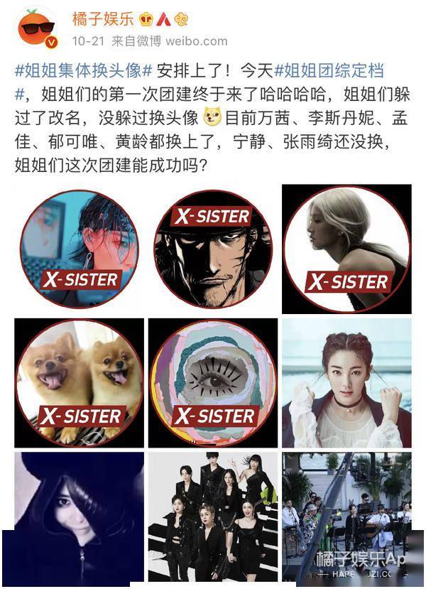 周震|原创浪姐团综有花少2内味？周震南称像变形计，徐峥表情值得编入姐学