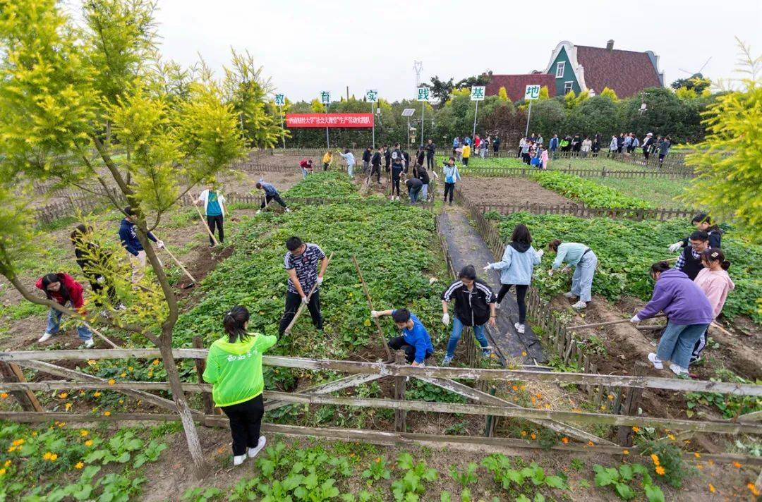 【关注】广汉首个大学生劳动教育实践基地正式启动!