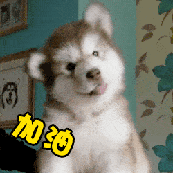 配方|爆款那么多，凭什么它直播破亿？