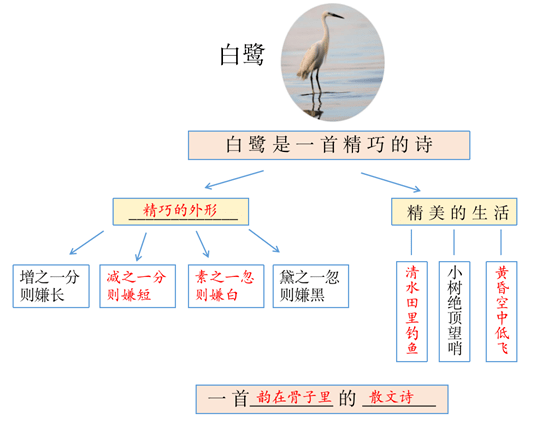 统编版语文五年级语文上册复习巩固练习(一)_白鹭