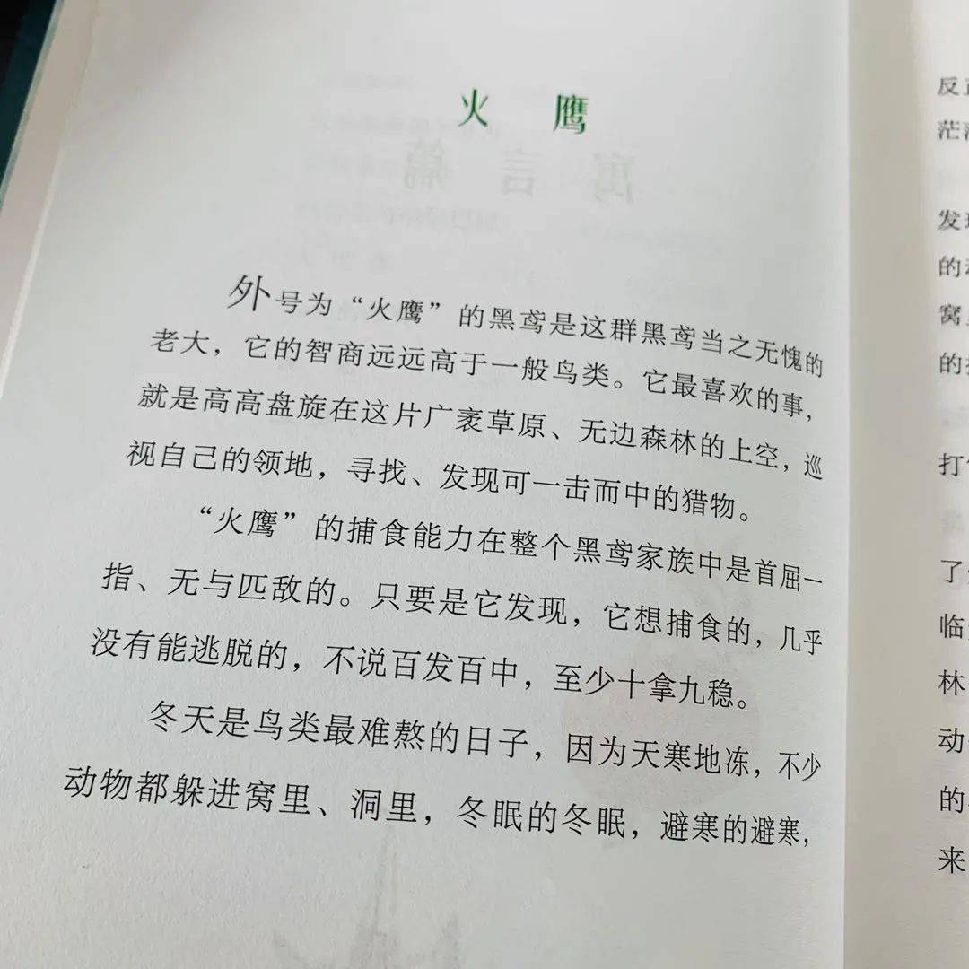 具象简谱_儿歌简谱