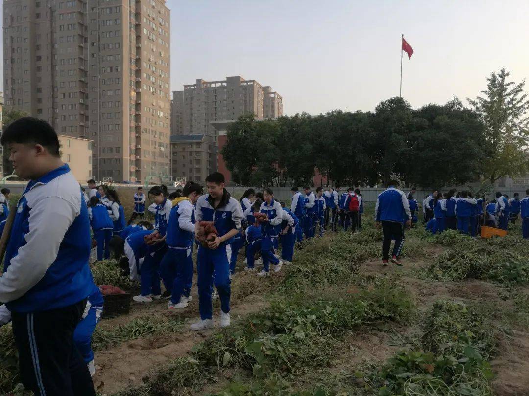 新乡市第二中学劳动实践活动纪实