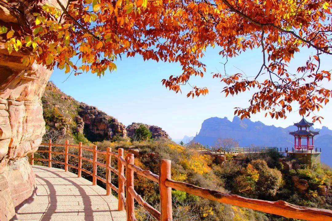 重阳节 | 久久情长 温情来袭,河北这些景区活动与您共
