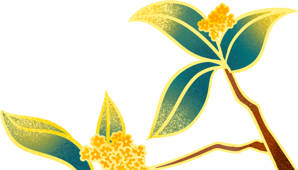 距离|不是人人都能做好儿女，你距离父母的精神世界有多远？