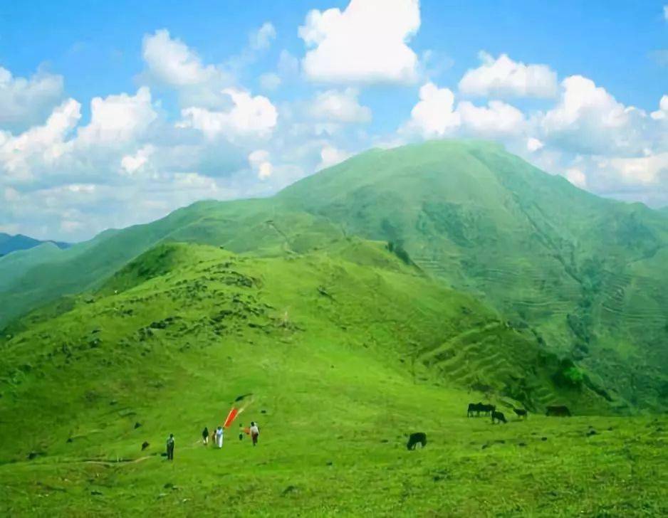 重阳节登高?信宜这几座山值得攀爬