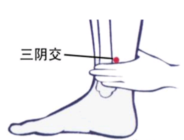 神奇的背部放血,可以"放"走哪些疾病?