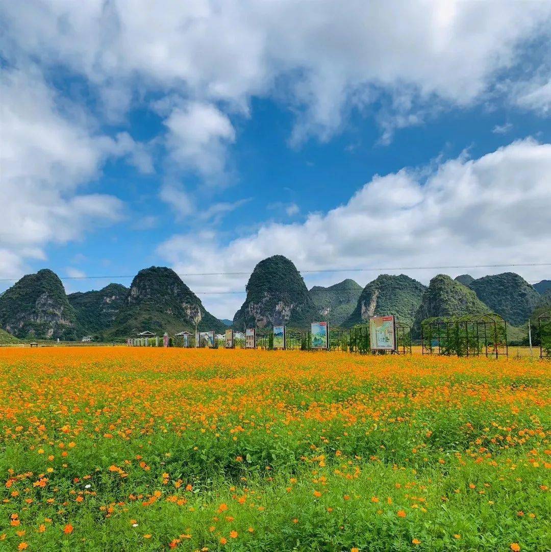 百色靖西市2020gdp_广西这个县级市,被誉为 小昆明 小桂林 ,却是国家级贫困县(2)