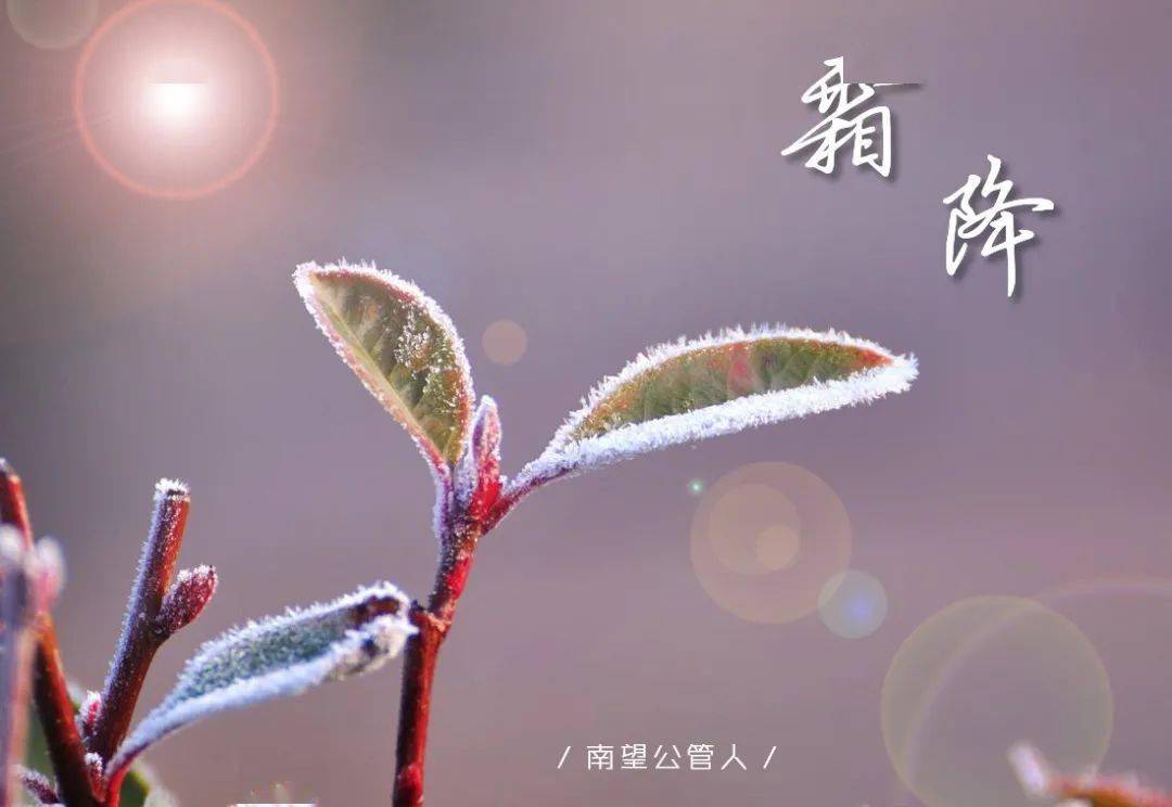 霜降节气 edfcc1dfff3c48f581517e114a23558f.jpeg