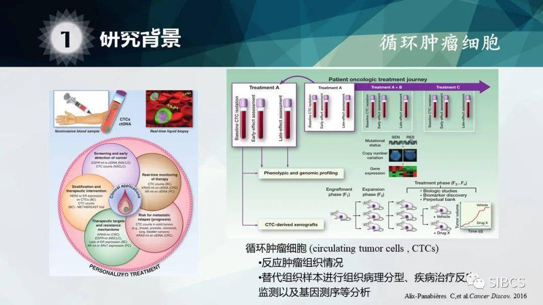 晚期乳腺癌循环肿瘤细胞相关白细胞团