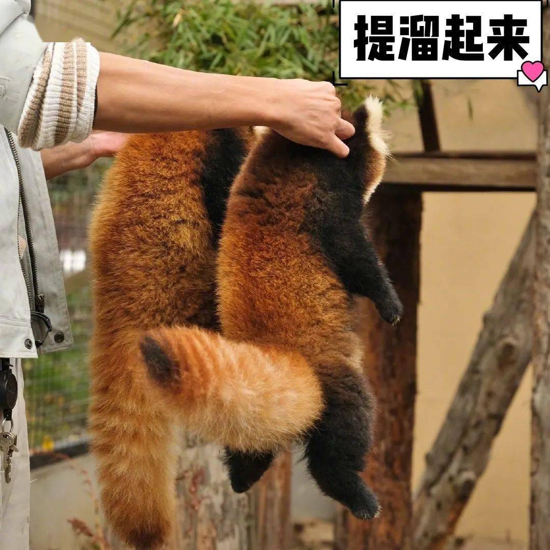 夏天|十月小结 | 这里有一份秋日温柔待查收!