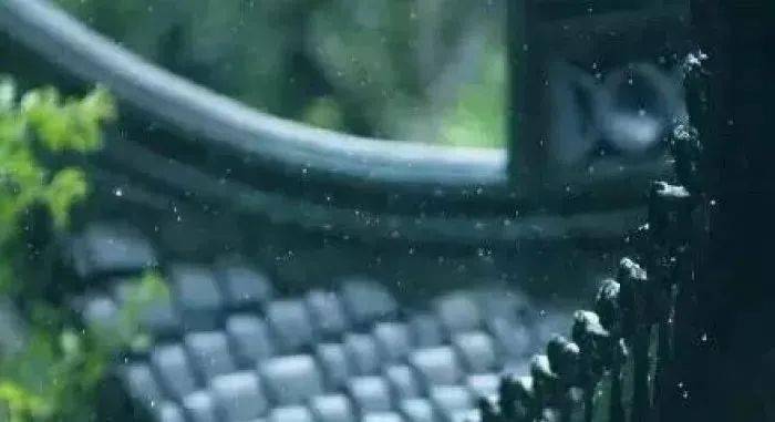 时间煮雨岁月缝花什么意思 17a2a7ca035d4739880dde4c9f2ac5e3.jpeg