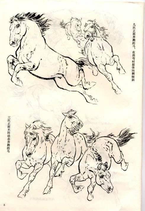 刘继卣画马技法与马的结构素描