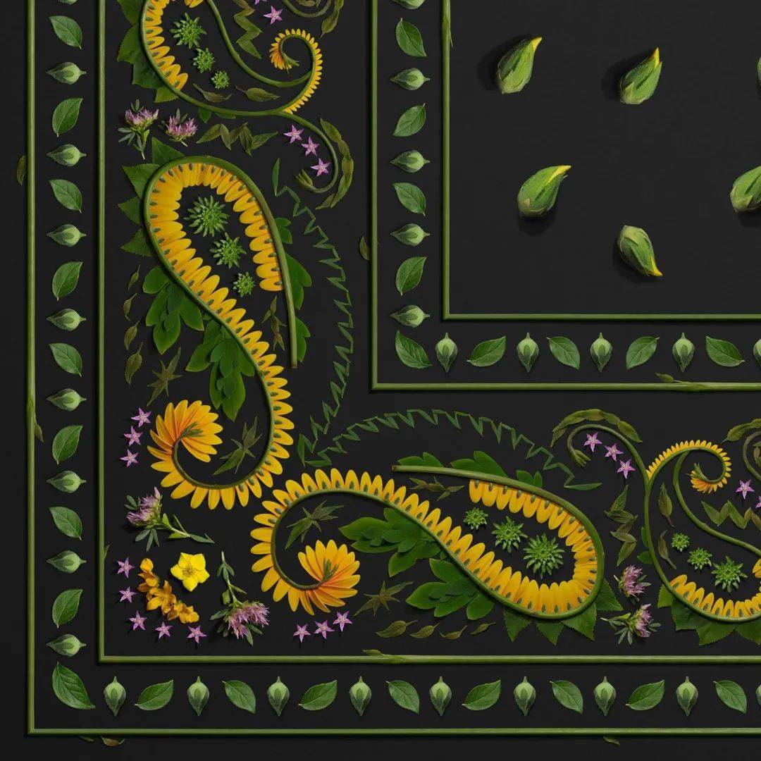 井上罗|花卉版的时尚品牌！