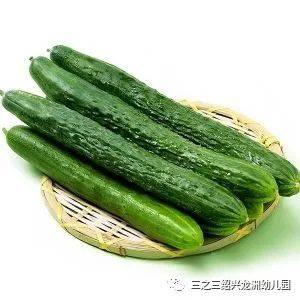 三之三牛顿b班班本故事各种各样的瓜