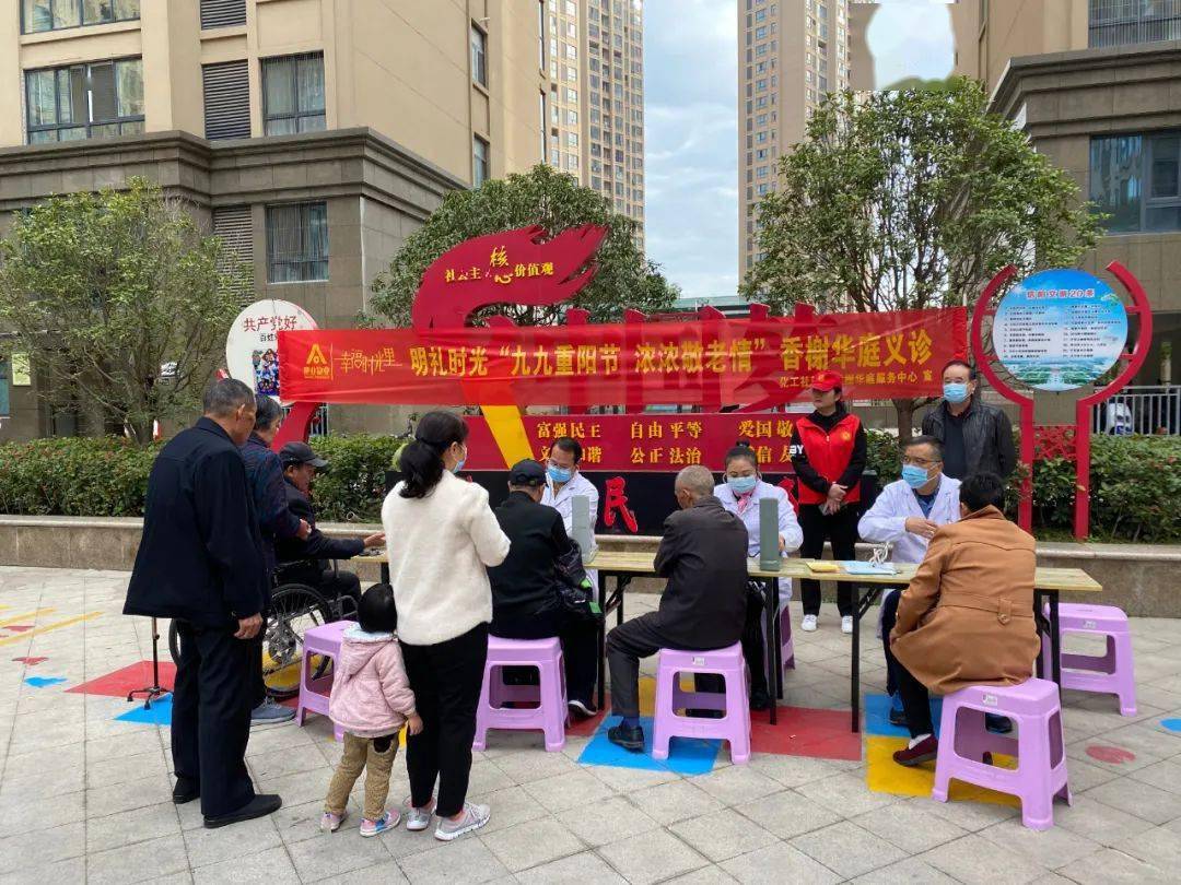 社区人口普查主题党日活动(3)