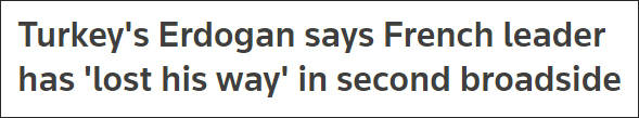 埃尔多安再炮轰：那个领导法国的人找不着北