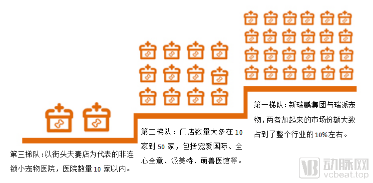 医疗|高瓴重仓近五年，腾讯、碧桂园携手入局，宠物医疗迎来拐点时刻？