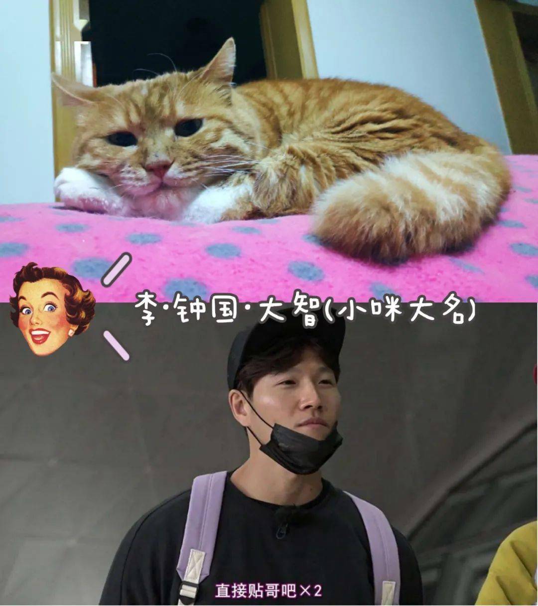 夏天|十月小结 | 这里有一份秋日温柔待查收!