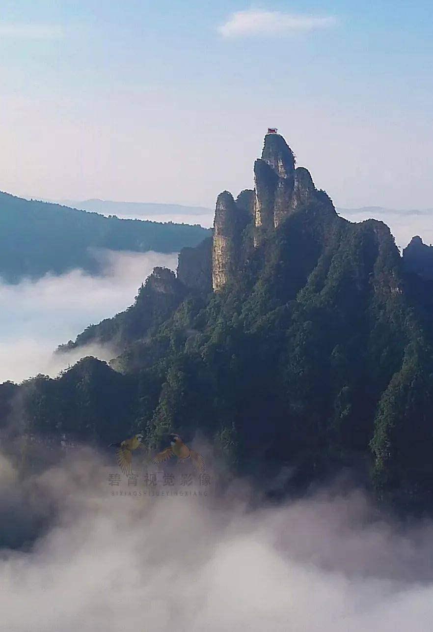 张家界五行山中,竟藏着一座绝壁巅峰的古庙!